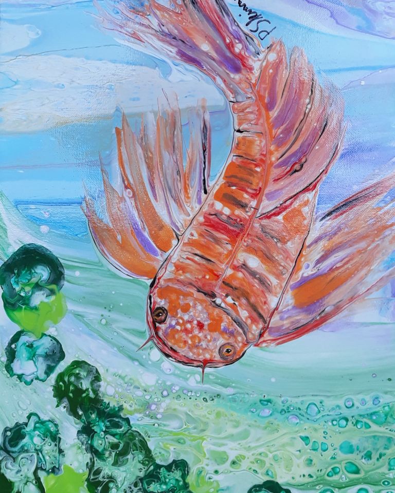 Sea Life