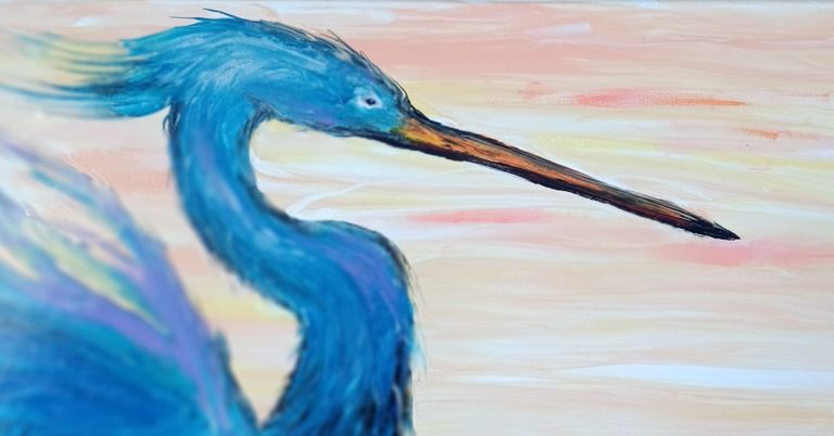 Florida Birds